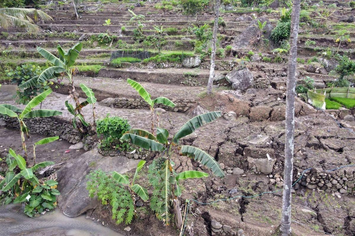 Seharusnya Sudah Tanam Padi, Petani Kasim Menangis Sawah Hancur Geser 10 Meter: Kami Tak Bisa Makan