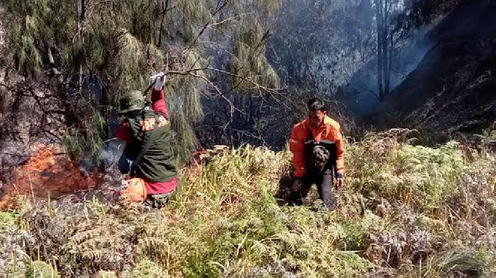 Tim-TRC-BPBD-Kabupaten-Probolinggo-memadamkan-api-dari-Gunung-Batok-Pasuruan.jpg