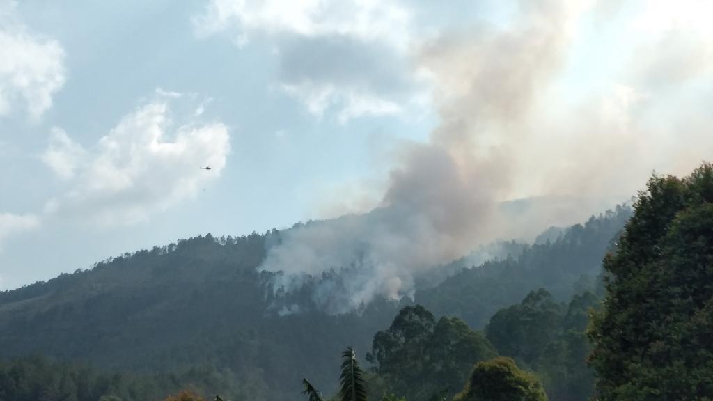 Titik-api-Kebakaran-Gunung-Lawu-wilayah-Kabupaten-Magetan.jpg