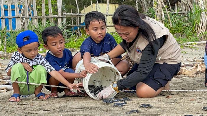 Perhutani KPH Malang Ajak Wisatawan Lepas Tukik Penyu Hijau di Pantai Bajulmati