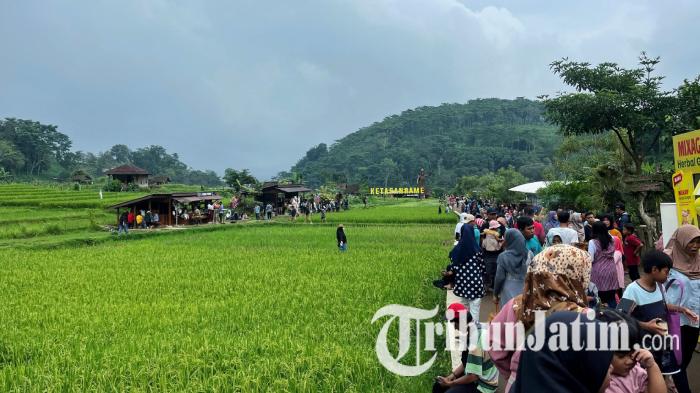 Wisatawan-memadati-destinasi-Wisata-Sumber-Gempong-di-wilayah-Trawas-Mojokerto.jpg