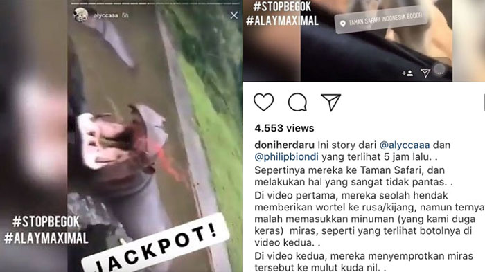 Viral Aksi Remaja Cekoki Alkohol ke Hewan Bikin Netter Geram, Pemilik Akun Unggah Permintaan Maafnya