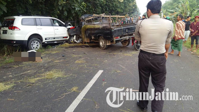 Usai Pikap Up Tabrak Mobil Anggota DPRD Gresik, Dua Ekor Sapi Hilang