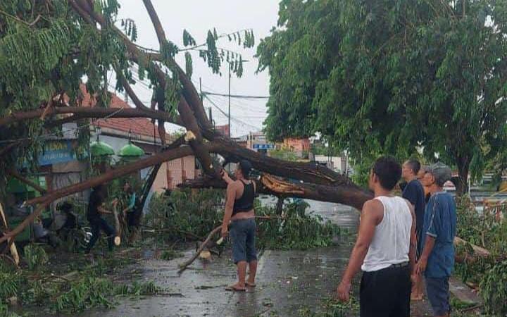 Hujan dan Angin Kencang di Sidoarjo, Tiang Listrik hingga Pohon Ambruk, Gedung Sekolah Terdampak