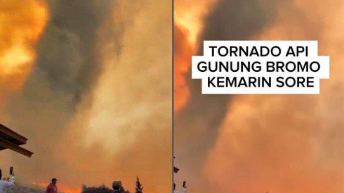 Muncul Api Tornado di Hutan Bromo, Rusak Pipa Air ke 6 Desa, Makin Parah Imbas Flare Foto Prewedding