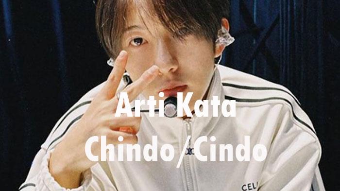 arti-kata-Chindo-732023.jpg