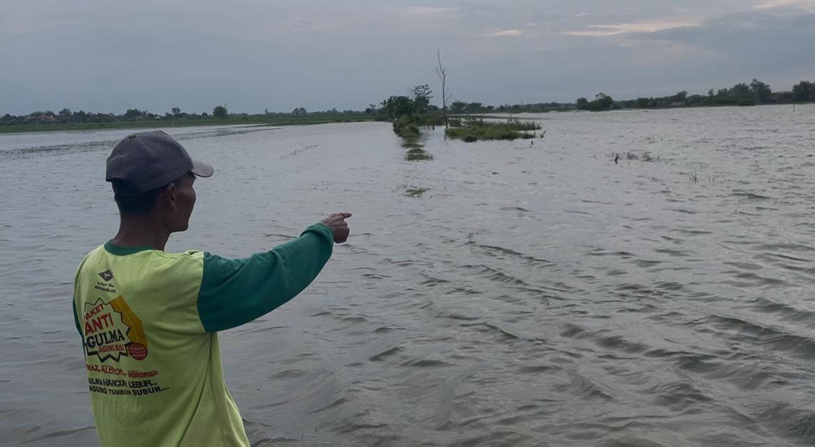 banjir-di-jombang-kali-marmoyo.jpg