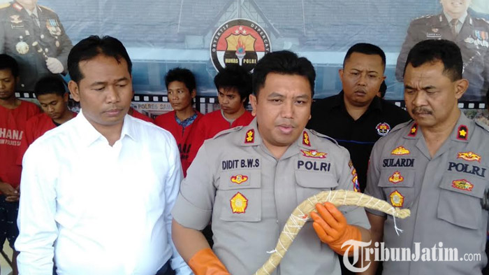 Pemuda Asal Karang Anyar Sampang Digelandang Polisi Karena Nongkrong Sambil Bawa Celurit