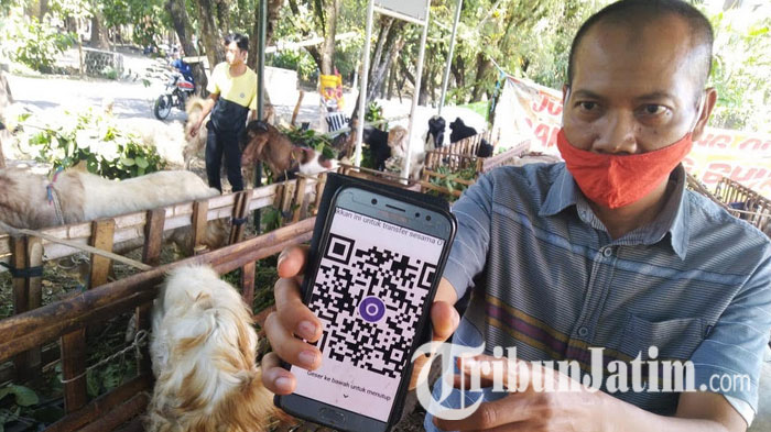 Trik Pedagang Hewan Kurban di Malang Meminimalisir Penularan Covid-19, Transaksi Pakai QR Code