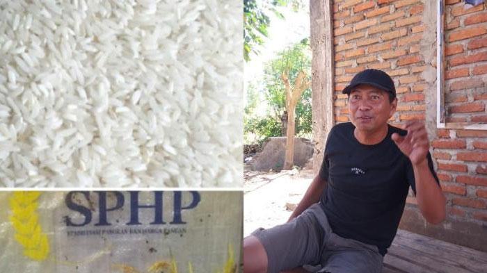 Warga Keluhkan Beras SPHP Sulit Dimasak, Takut Ada Bahan Kimia Berbahaya, Bulog: Aman Dikonsumsi