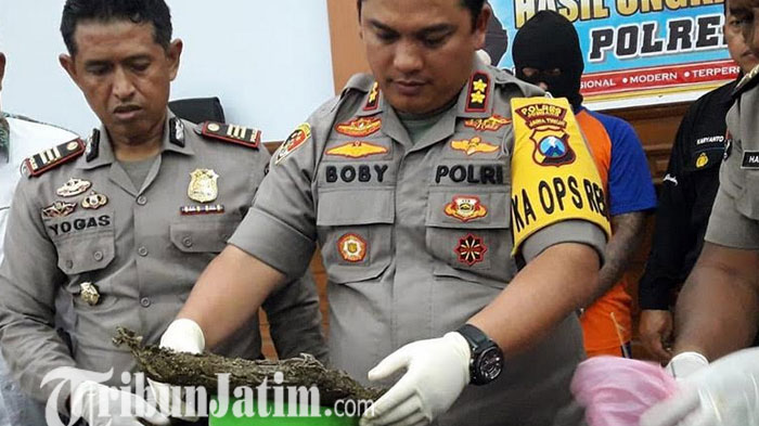 Polisi Jombang Sita Setengah Kilogram Ganja dari Tukang Las, Dikendalikan dari Lapas Jatim