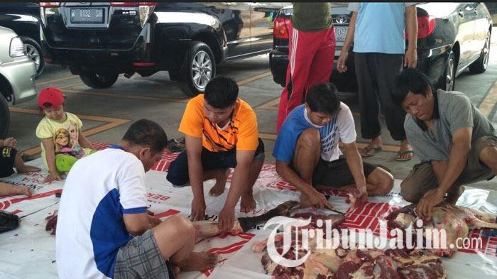 Sibuk Layani Penumpang, Tak Membuat Angkasa Pura I Juanda Tak Lupa Ikut Berkurban Sapi dan Kambing