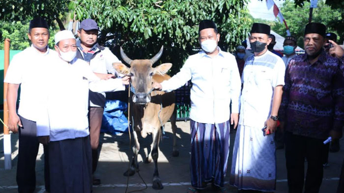 Maulid Nabi Muhammad SAW, Bupati Gresik Bagikan 3 Ekor Sapi di Pulau Bawean