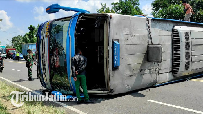 Bus Sugeng Rahayu Terguling Melintang di Jalan Raya Madiun - Caruban, Puluhan Penumpang Luka-luka