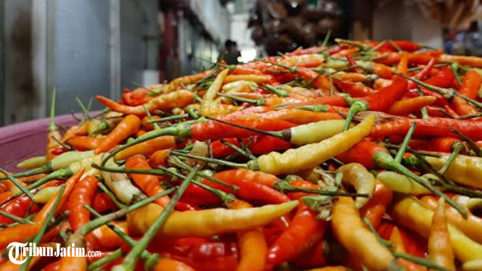 Naik Setiap Hari, Harga Cabai Rawit di Kota Blitar Meroket, Kini Tembus Rp65 Ribu per Kilogram
