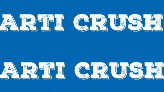 Inilah Arti Kata Crush dalam Bahasa Gaul, Istilah Populer di IG FB dan Twitter, Bikin Kamu Deg-degan