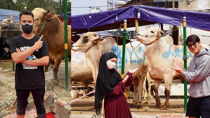 Daftar Artis yang Borong Hewan Kurban di Momen Idul Adha: Raffi Beli 10 Sapi, Aurel Beli 23 Kambing