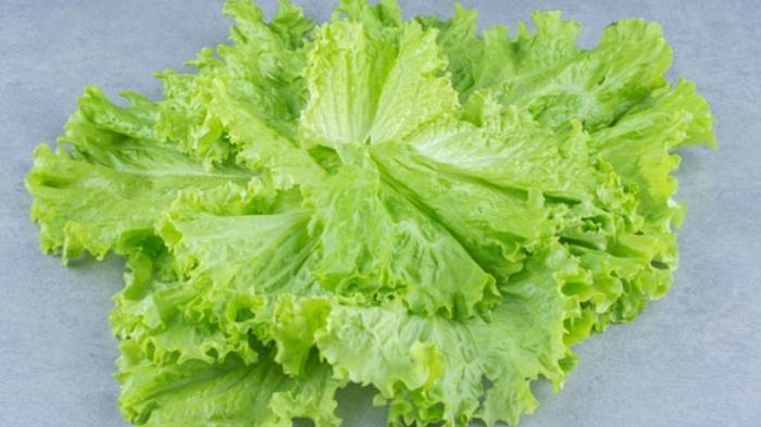 4 Jenis Daun Selada, Mulai dari Selada Keriting hingga Selada Bokor, Dilengkapi Tips Mengolahnya