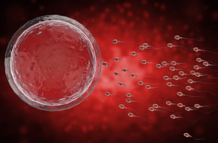 Ketahui 4 Hal Penting Sebelum Egg Freezing Seperti yang Dilakukan Luna Maya, Cek Prosedur dan Risiko