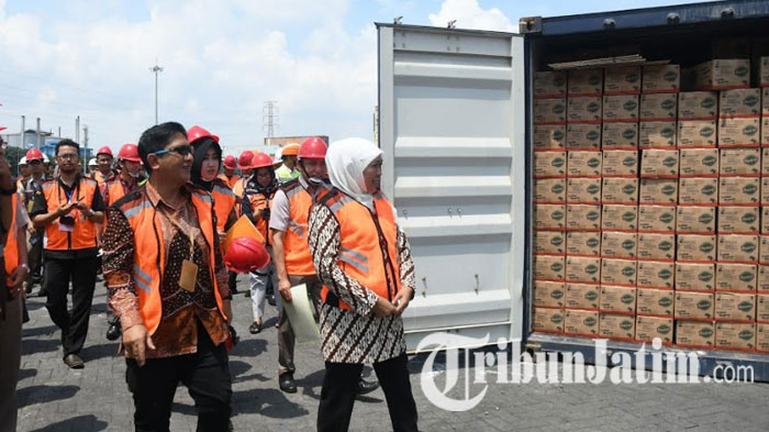 Berita Terpopuler: Nilai Daun Kelor Kering Nganjuk Diekspor ke Korsel hingga Sidang Vlog Ahmad Dhani