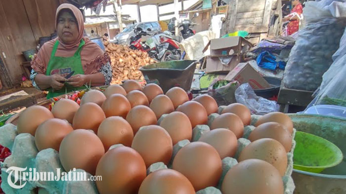 Harga Telur di Gresik Tinggi Jelang Natal 2022 dan Tahun Baru 2023, Tembus Rp 30 Ribu per Kilogram