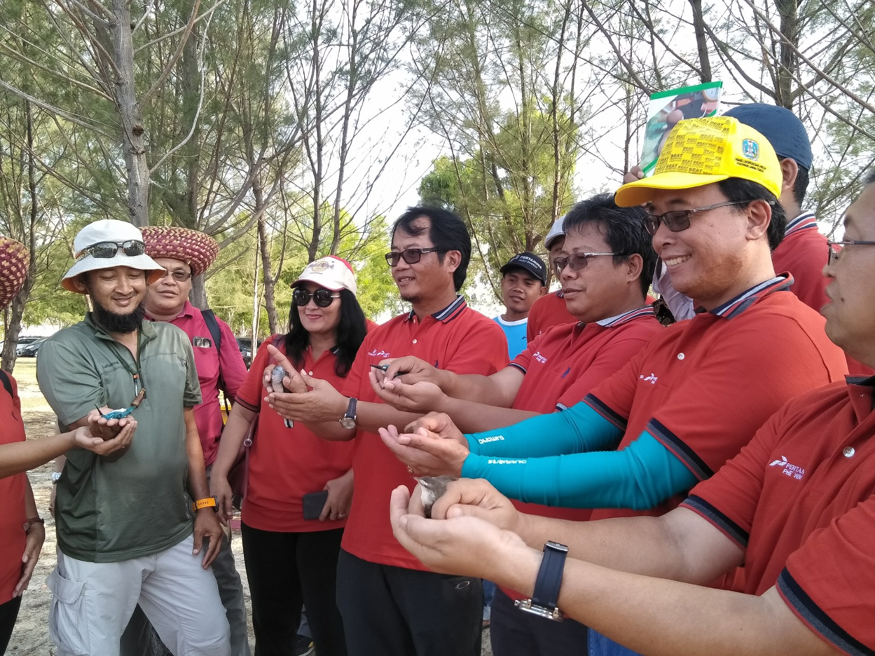 Ribuan Burung Migran Transit di Mangrove Desa Labuhan Bangkalan