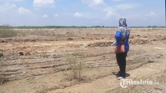 Lega, Pemilik Lahan di KEK JIIPE Dapat Ganti Rugi Sebesar Rp 25 Miliar