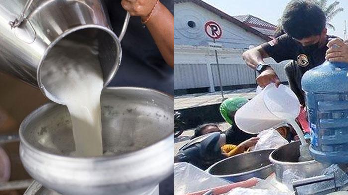 Tak Laku, Danang Terpaksa Bagi-bagi 500 Liter Susu Ketimbang Dibuang, Nelangsa Tidak Ada Pemasukan