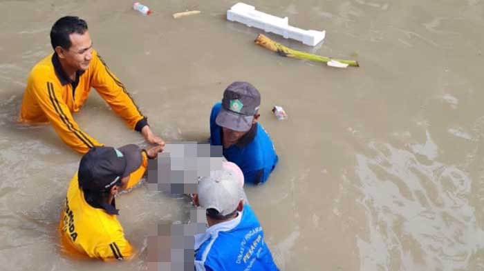 Bersihkan Saluran Air, Dua Petugas Temukan Jasad Pria Mengapung di Sungai Desa Durungbedug Sidoarjo