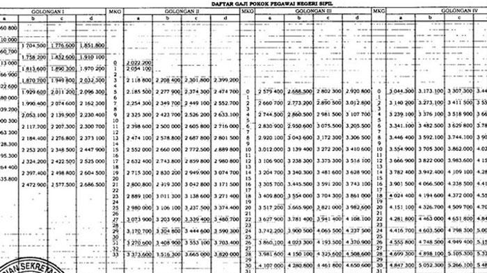Jangan Salah Arti, Beda Besaran Gaji CPNS dan PNS, Ada Sanksi Denda Jika Mengundurkan Diri
