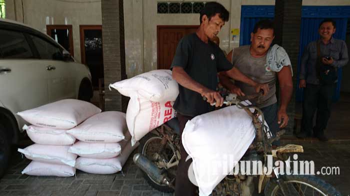 petani-di-tulungagung-mengangkut-pupuk-bersubsidi-yang-baru-ditebus-ilustrasi-pupuk-subsidi.jpg