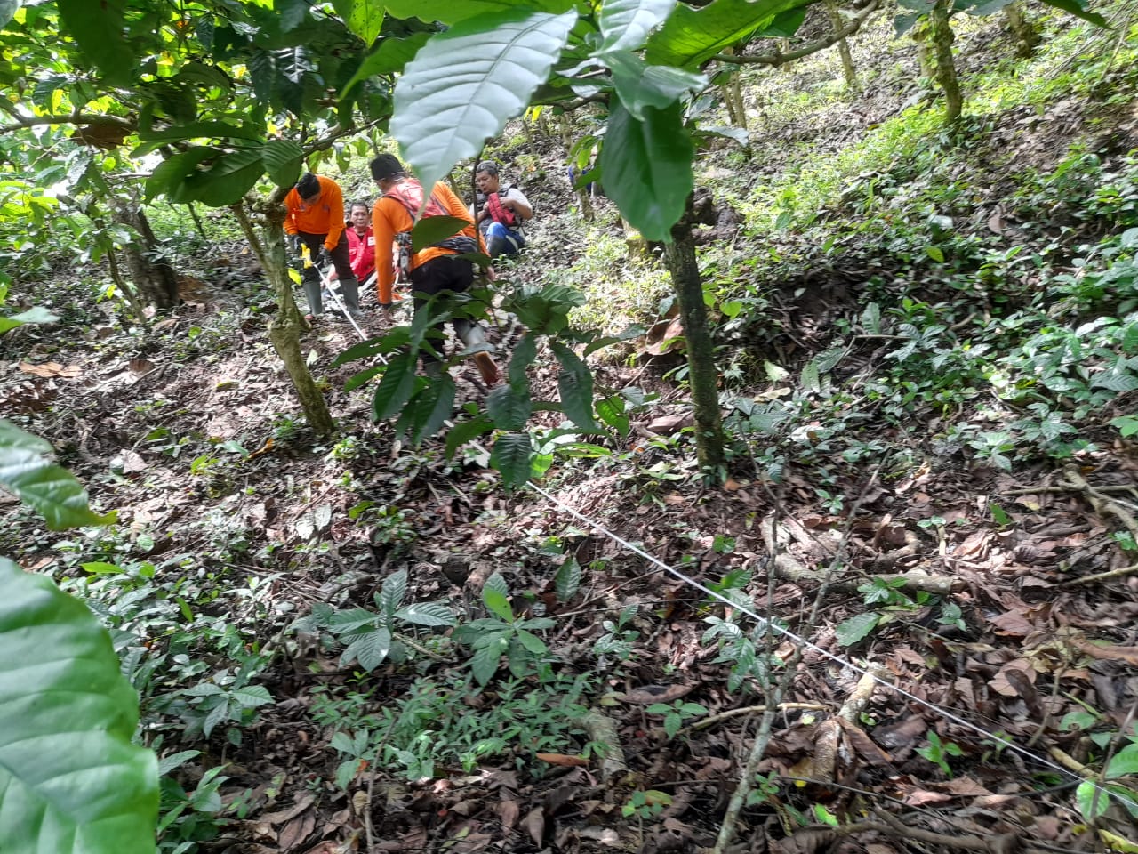 Kawasan Gunung Gumitir Jember Rawan Longsor, Warga Sekitar Diharap Sadari Potensi Bencana