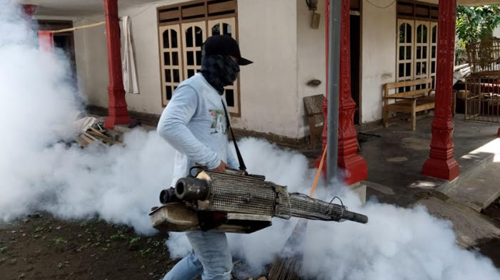 Penderita Chikungunya Bertambah, Dinkes Yakini Banyak Warga Tak Lapor: Gejalanya Mirip Asam Urat