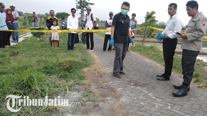 TERJAWAB Pemuda Penuh Luka Bisa Ada di Sidoarjo, Hobi Jalan Kaki dari Gresik & Pingsan Saat Ditabrak