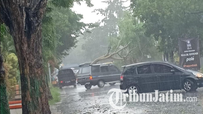 BMKG Juanda Peringatkan Hujan Deras Disertai Petir Tiga Hari ke Depan di Wilayah Jatim
