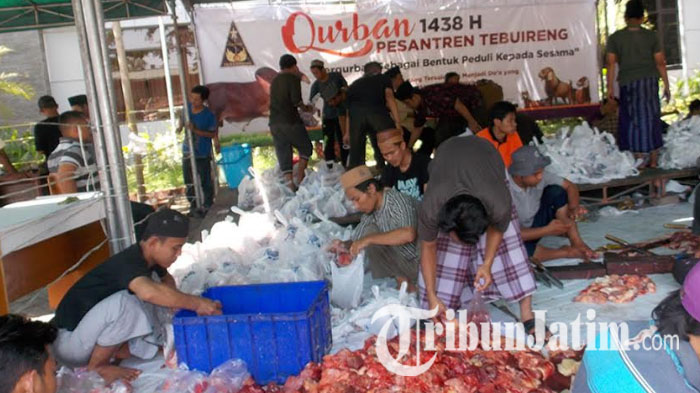 Ponpes Tebuireng Panen Hewan Kurban, Untuk Menyembelih Saja Butuh Waktu 3 Hari