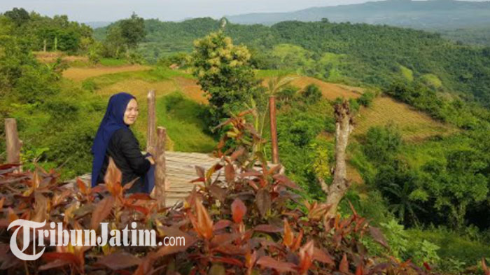 Teras Langit Sumenep, Objek Wisata Alam Paling Hits dan Diminati Wisatawan