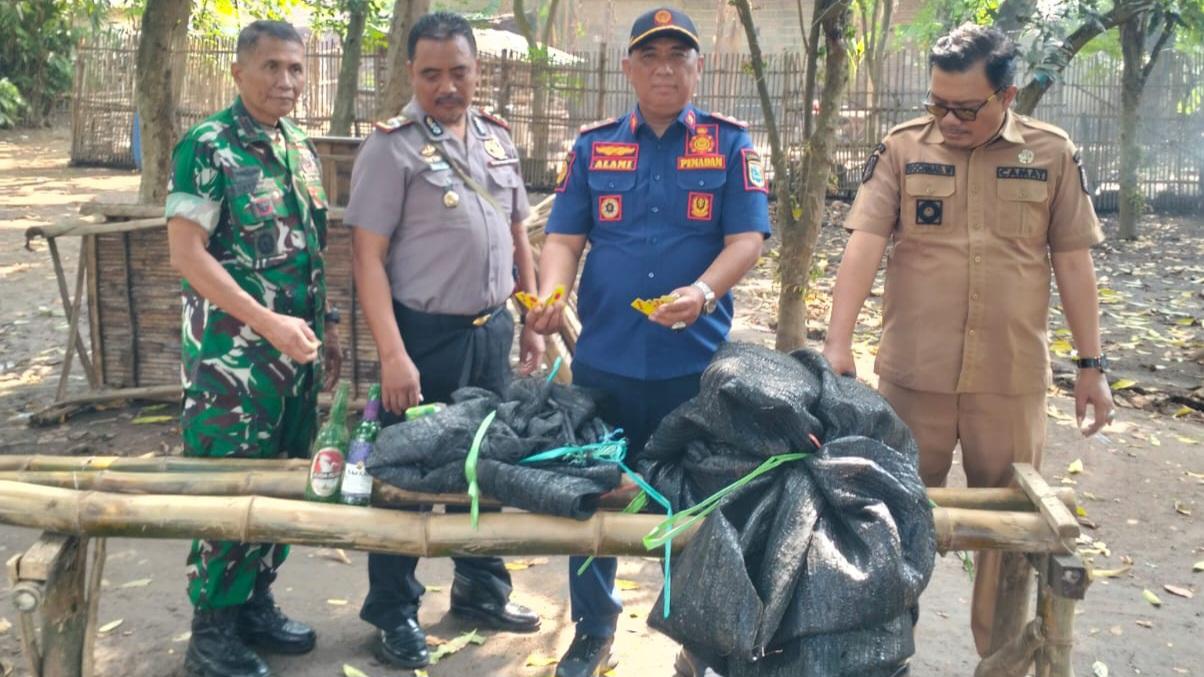 satpol-pp-probolinggo-gerebek-judi-sabung-ayam.jpg