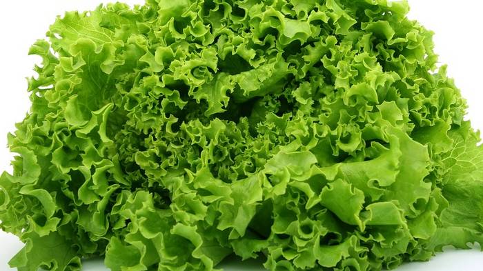selada-sayuran-hijau-yang-baik-dikonsumsi-oleh-penderita-diabetes.jpg