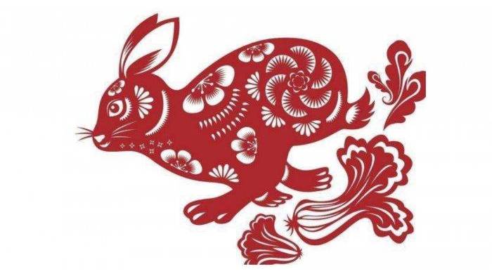 5 Shio yang Hasilkan Cuan Banyak: Shio Kelinci Jangan Takut Investasi, Shio Anjing Bisnis Sukses