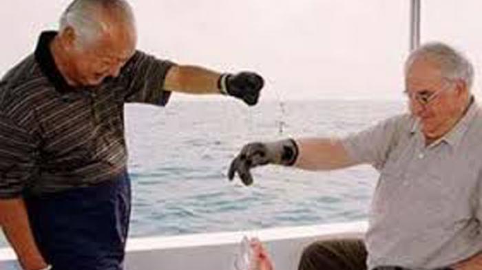 teka-teki-adanya-marinir-di-bawah-kapal-saat-soeharto-mancing-terjawab.jpg