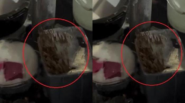 viral-tusuk-sate-dicuci-dan-dipakai-ulang-untuk-pembeli-lainnya.jpg