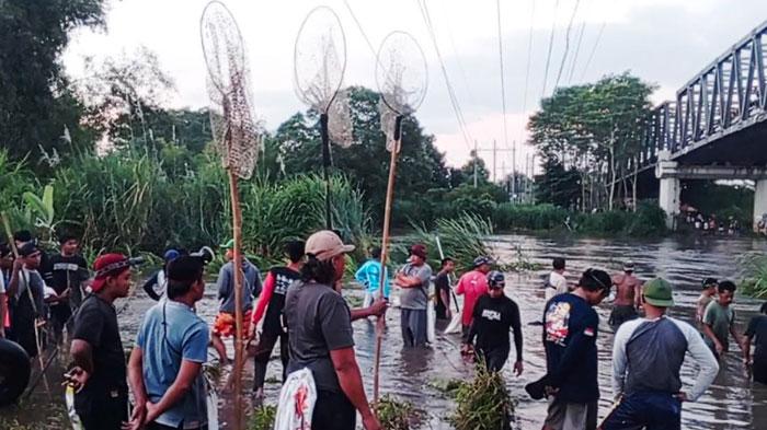 Pencari Ikan Penuhi Bawah Jembatan Ngujang 2 Tulungagung, Cari Ikan Mabuk Hasil Flushing