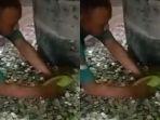 1-Keluarga-Kumpulkan-Uang-Koin-Rp-70-Juta-Hasil-Nabung-8-Tahun-Disimpan-di-Tong-Yudi-Nambah-Modal.jpg