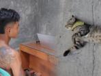 Adji-Darma-Saputra-marah-usai-disamakan-dengan-kucing.jpg