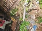 Hujan Deras Bikin Plengsengan Non Teknis Longsor di Batu, Rumah Warga Terancam Ambrol