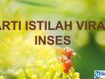 Arti-istilah-viral-inses.jpg