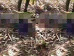 Beredar-video-pria-tewas-diduga-akibat-ledakan-mercon-atau-petasan-di-madura.jpg