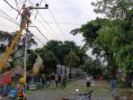 Blitar Diterjang Angin Kencang, Atap Rumah Warga Terhempas, Pohon Tumbang Tutup Akses Jalan