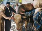 Bull, Sapi Presiden Prabowo yang akan Disembelih di Kota Batu Hasil Budi Daya Peternak Oro-oro Ombo